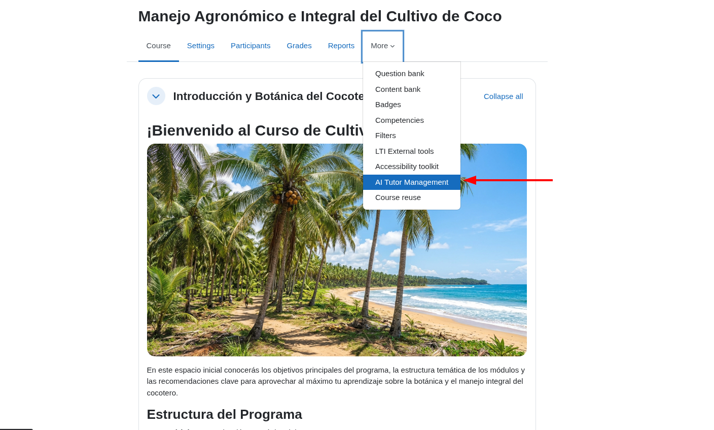 Course menu showing More → AI Tutor Management
