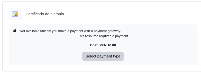 Select payment for activity