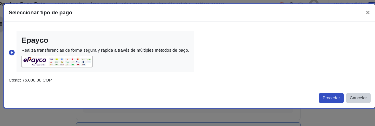 Payment modal for activity