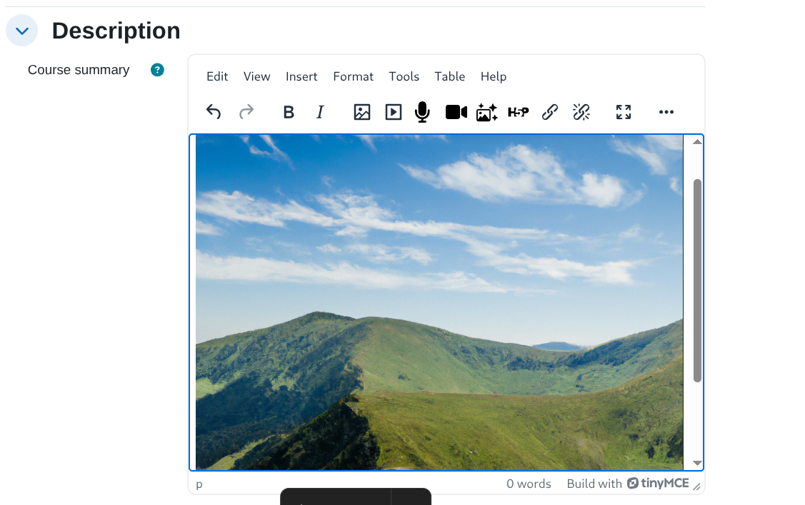 AI Image Inserted in Editor