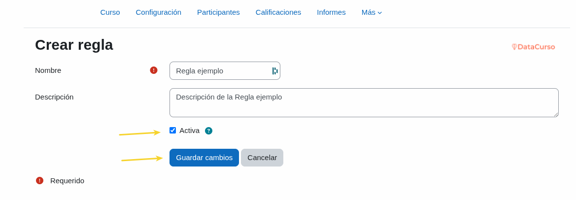 Activo + Guardar cambios