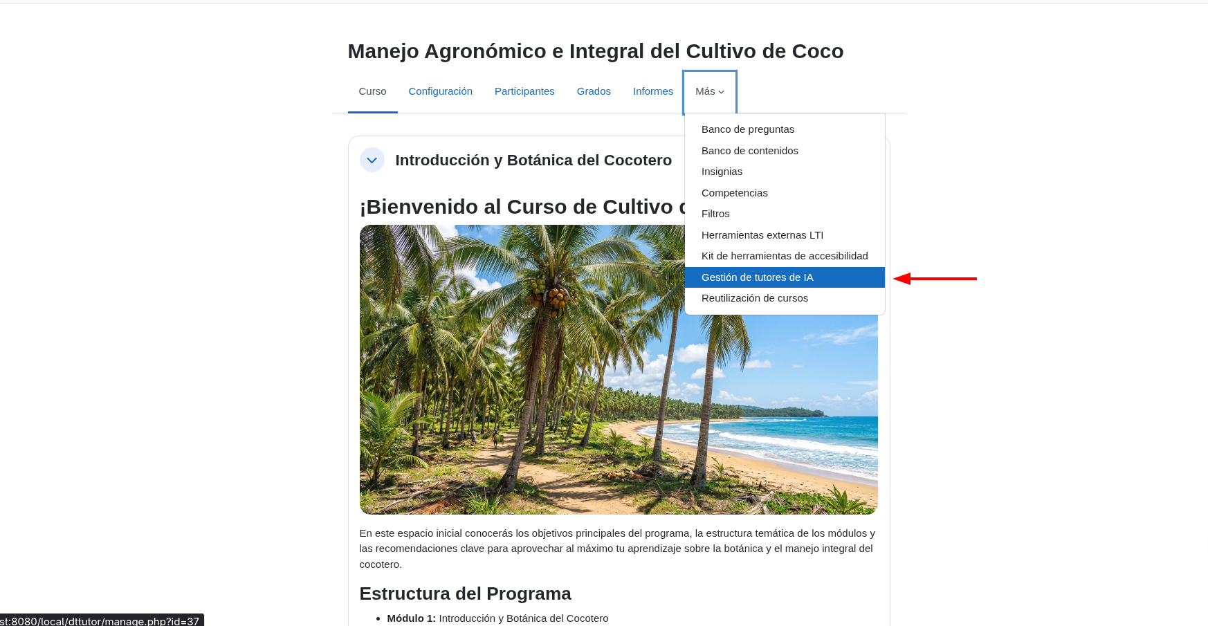 Menú del curso mostrando Más → Gestión de tutores de IA