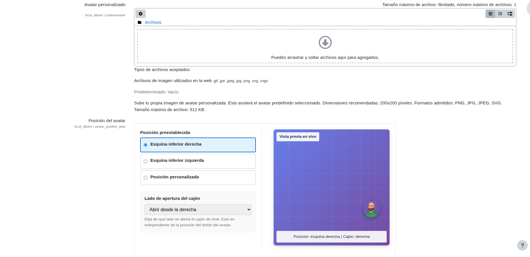 Avatar personalizado y posición del avatar con vista previa en vivo