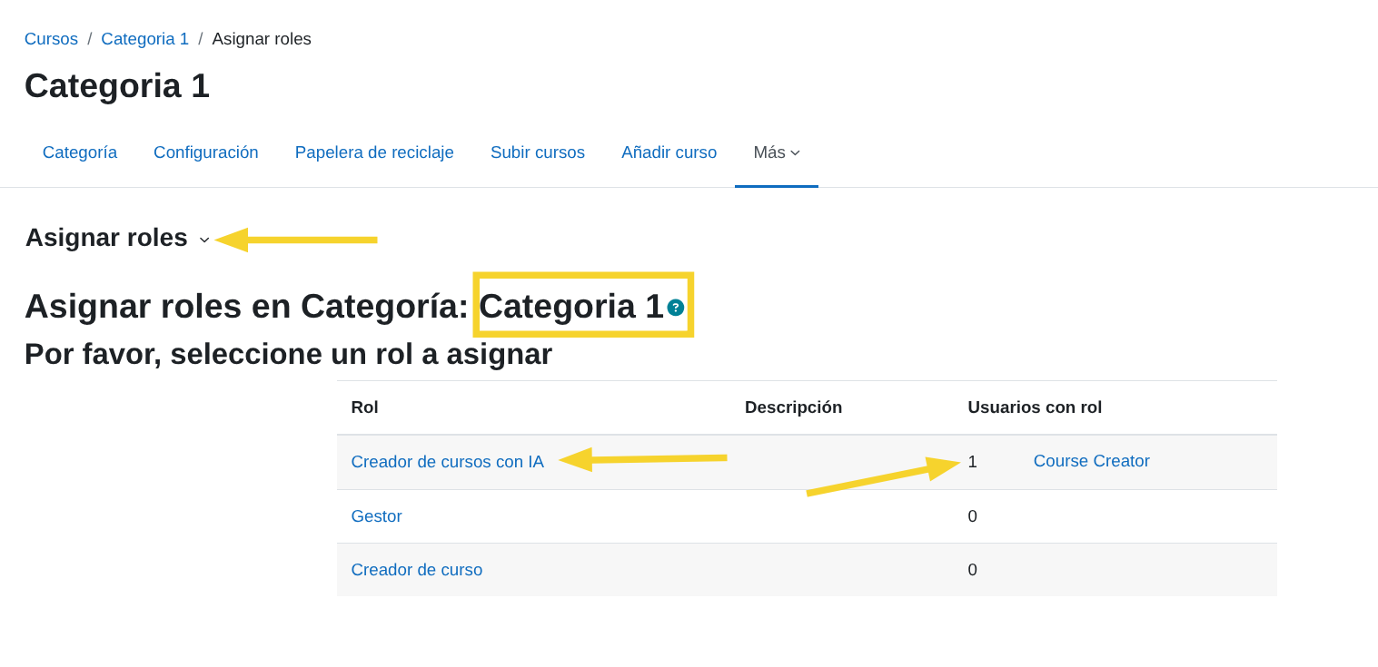 Roles asignados en Categoría
1