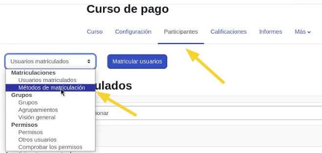 Participantes del curso