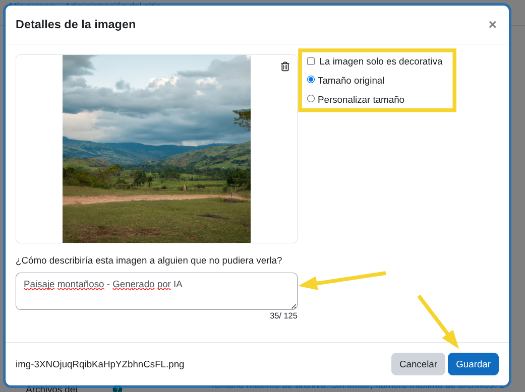 Configuración final de imagen
IA