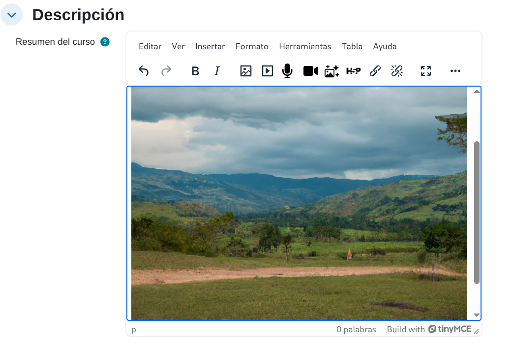 Imagen IA insertada en el
editor