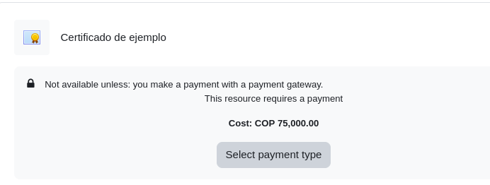Select payment for activity