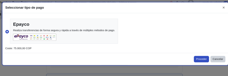 Payment modal for activity